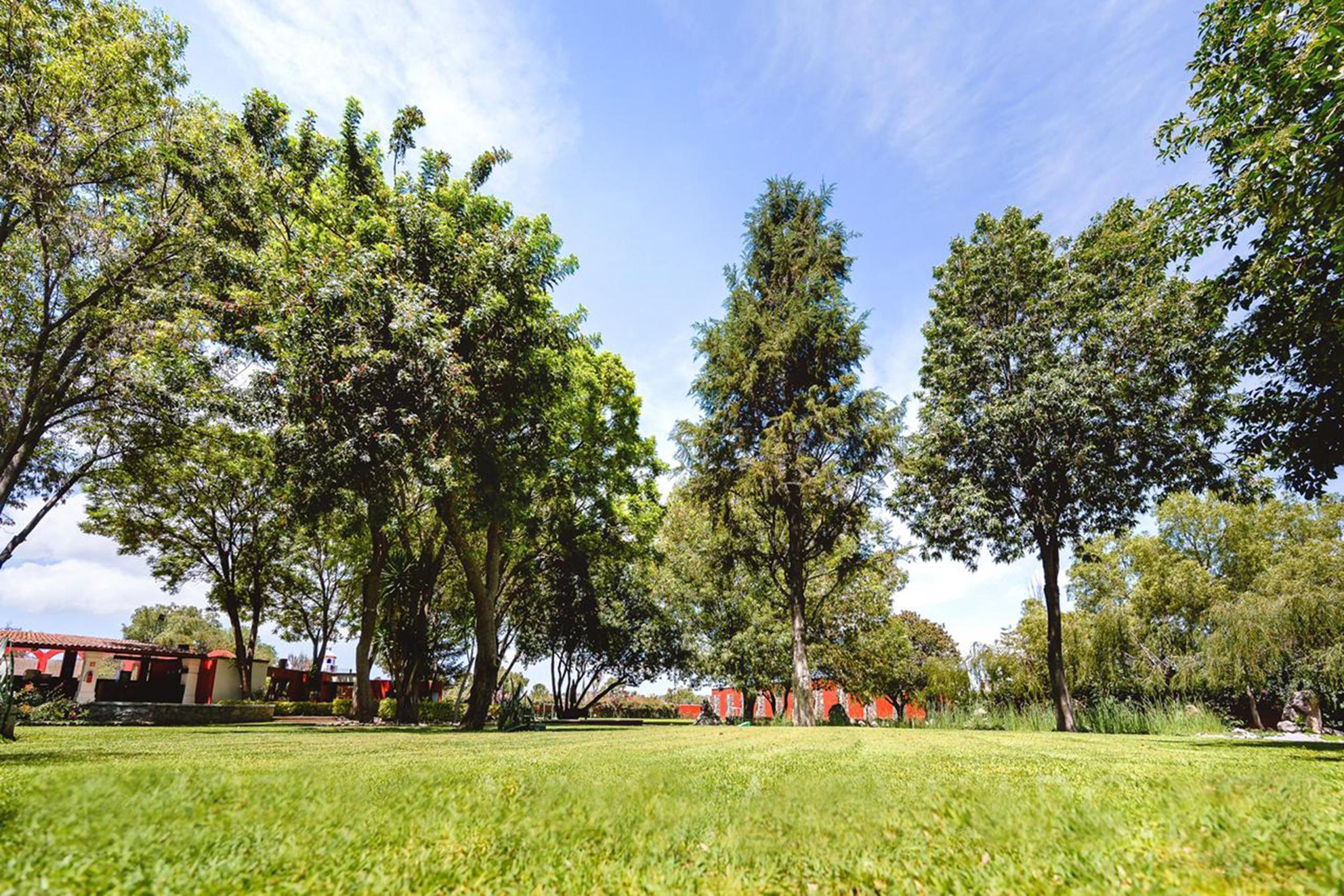 Real De Minas San Miguel De Allende Exterior photo The park